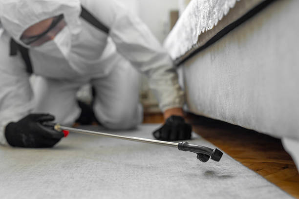 Professional Bed Bug Control technician working in Richmond, TX