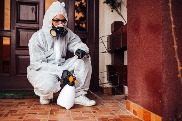 Reliable Bed Bug Control contractor in Richmond, TX by Nex Pest Control